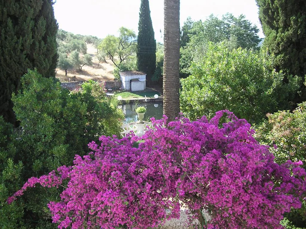 منزل ريفي كونستانتينا Finca La Favorita- Suites (Adults Only)